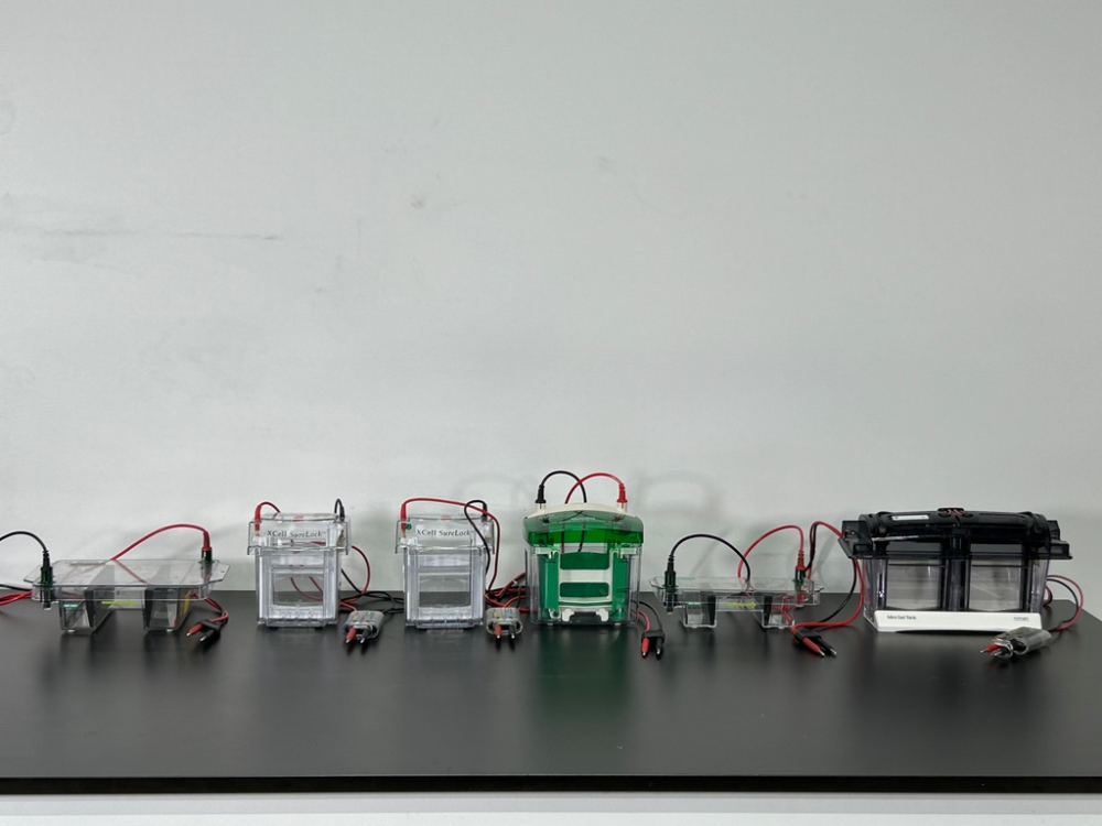 Image of Lot Of Electrophoresis Parts